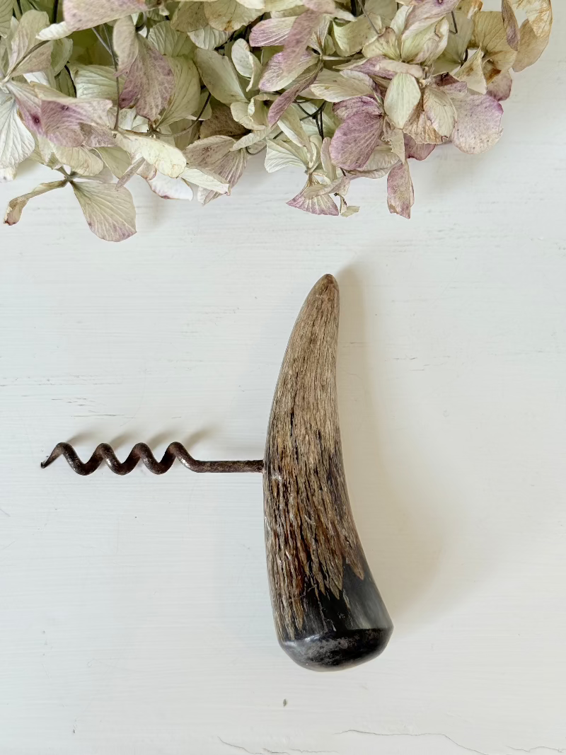 vintage corkscrew with natural horn handle and aged steel spiral on white surface