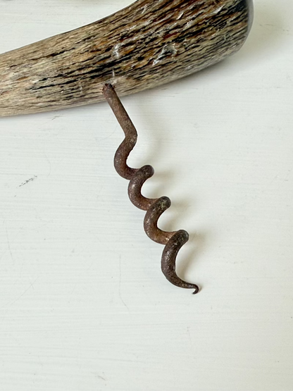 vintage corkscrew with natural horn handle and aged steel spiral on white surface
