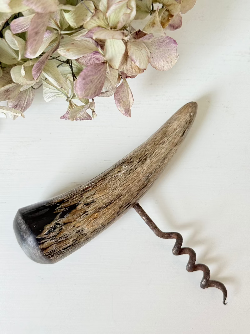 vintage corkscrew with natural horn handle and aged steel spiral on white surface