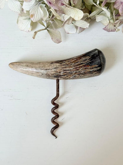 Bottle opener