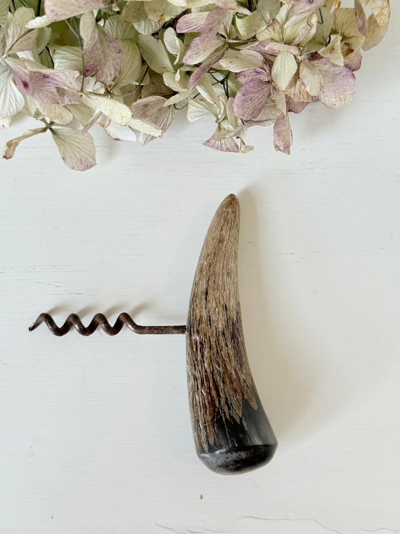 Bottle opener