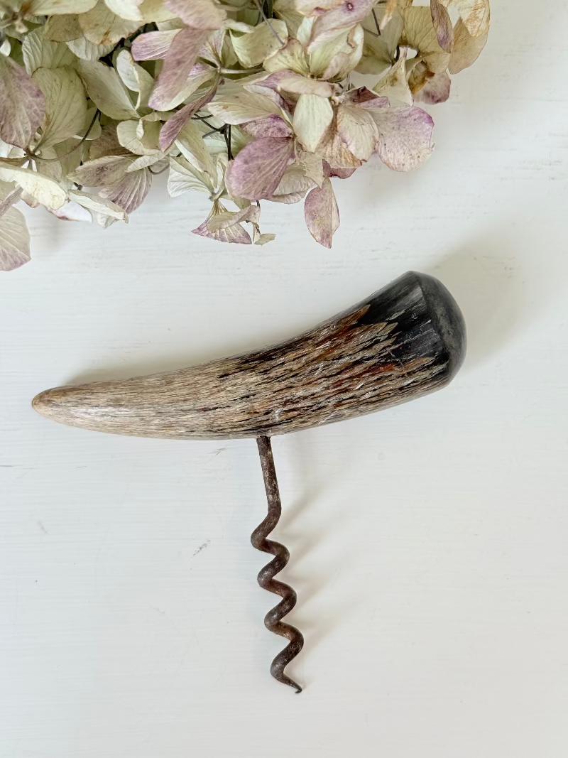 Bottle opener