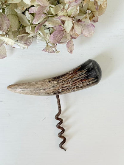 Bottle opener